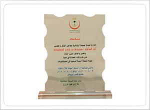 SBG Recognitions